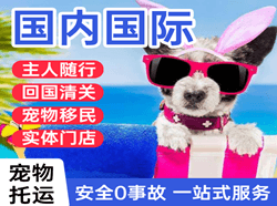 东营胜利航空快运国际宠物托运 【国